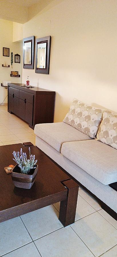 Holiday & Business Furnished Apartments Μύτικας Εξωτερικό φωτογραφία
